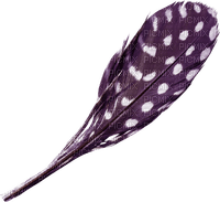 Kaz_Creations Purple-Deco-Feather - png gratis