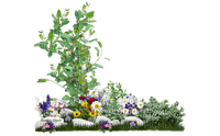 flower,grass,tree,rock - 無料png