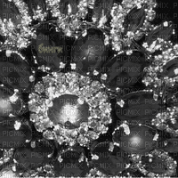 Y.A.M._Vintage jewelry backgrounds black-white - 無料のアニメーション GIF