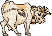vache - GIF animado gratis