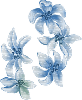 blomma--flowers--blue--blå