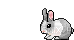 Tiny Bunny - GIF เคลื่อนไหวฟรี