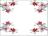 cadre fleur animated gif - GIF animé gratuit