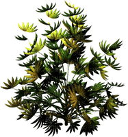 Planta color verde y amarillo - фрее пнг