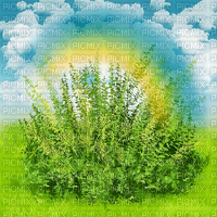 summer background by nataliplus - zdarma png