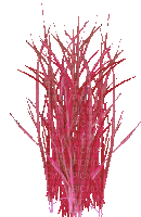 Трава - Darmowy animowany GIF