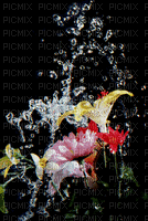 fiori - GIF animado gratis