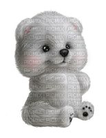 Peluche - Free PNG