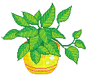 house plant pixel art - png gratuito