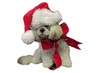 Kerst hond - PNG gratuit