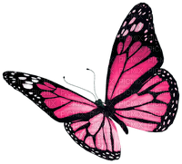 Butterfly.Pink - безплатен png
