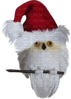 funny winter owl - png gratis