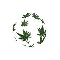weed - Безплатен анимиран GIF