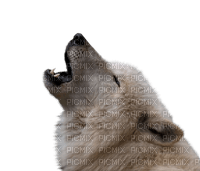 Kaz_Creations Animals Wolves - Free PNG