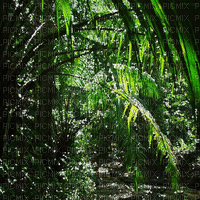 jungle milla1959 - Free animated GIF