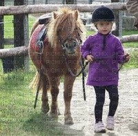 poney - darmowe png