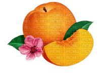 fruit bp - png gratuito