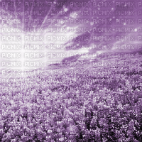 Y.A.M._Landscape background purple - Free animated GIF