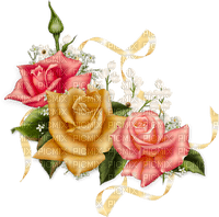 csodás rózsák - фрее пнг