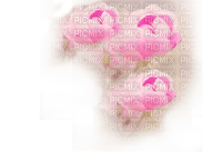 set-rosa-blomma - gratis png
