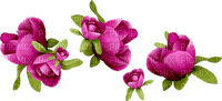 Roses dm19 - Free PNG