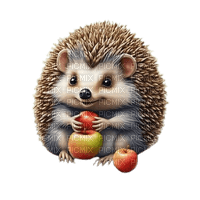 hedgehog - δωρεάν png