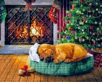 Puppy chistmas - bezmaksas png