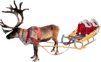 Christmas reindeer sunshine3 - Free PNG