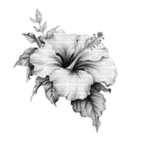 Цветочек - Δωρεάν κινούμενο GIF