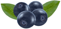 blueberries - Free PNG