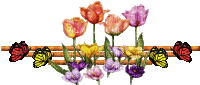 Flores - GIF animasi gratis