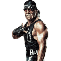 Hulk Hogan - bezmaksas png