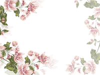 flower-frame-pink-400x302 - Free PNG