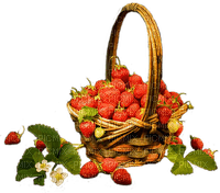 fraises - PNG gratuit