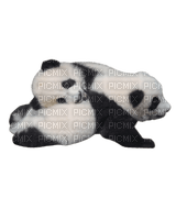 panda - nemokama png