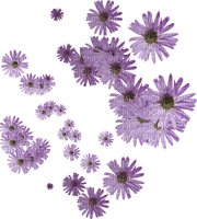 Spring.Flowers.Purple.Fleurs.Victoriabea - png ฟรี