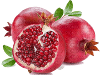 pomegranate fruit bp - zadarmo png