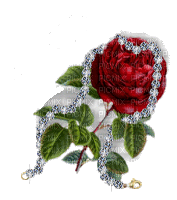Red Rose Gif - Бесплатный анимированный гифка
