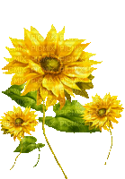 Flowers.Yellow.Animated - KittyKatLuv65 - GIF animado gratis