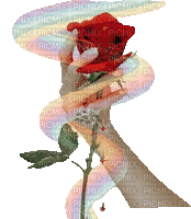 róża - Бесплатный анимированный гифка