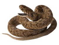 Kaz_Creations Snake - безплатен png