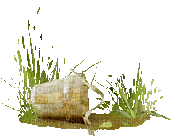 Wooden Bucket - Bezmaksas animēts GIF