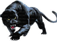 black panther bp - ücretsiz png