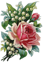 Maiglöckchen, Rose, Blumen - PNG gratuit