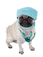 Veterinary clinic bp - kostenlos png