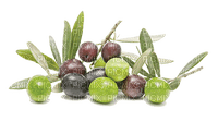 olives bp - бесплатно png