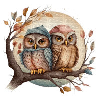 owls - Free PNG