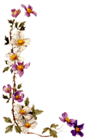 dulcineia8 flores - png grátis