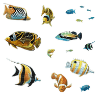tube animaux aquarium - kostenlos png