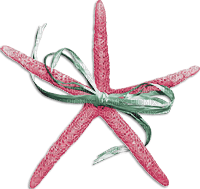 soave deco summer scrap starfish bow pink green